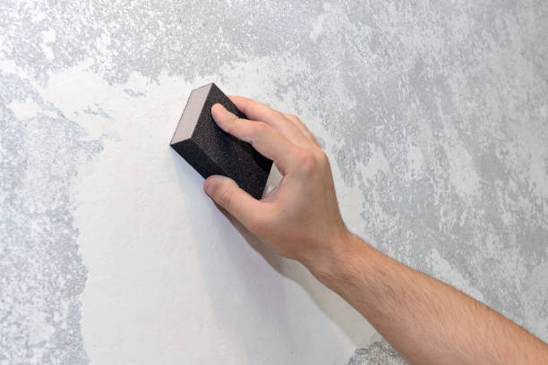 Best Water Damage & Mold Remediation  in Edgerton, OH