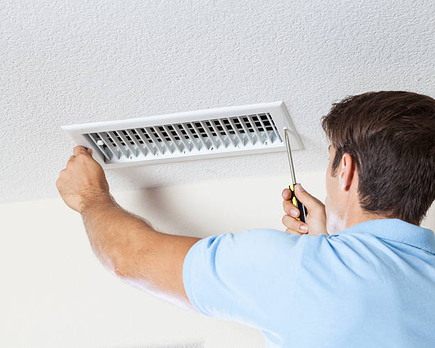 Best Mold-Related Health Consultation  in Edgerton, OH