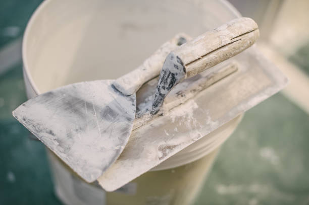 Best Environmental Consulting for Mold Prevention  in Edgerton, OH