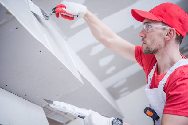 Best Mold Damage Restoration  in Edgerton, OH