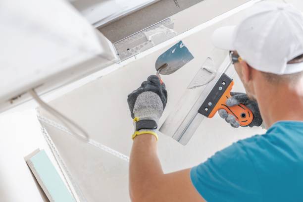 Best Attic Mold Removal  in Edgerton, OH